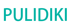  PULIDIKI